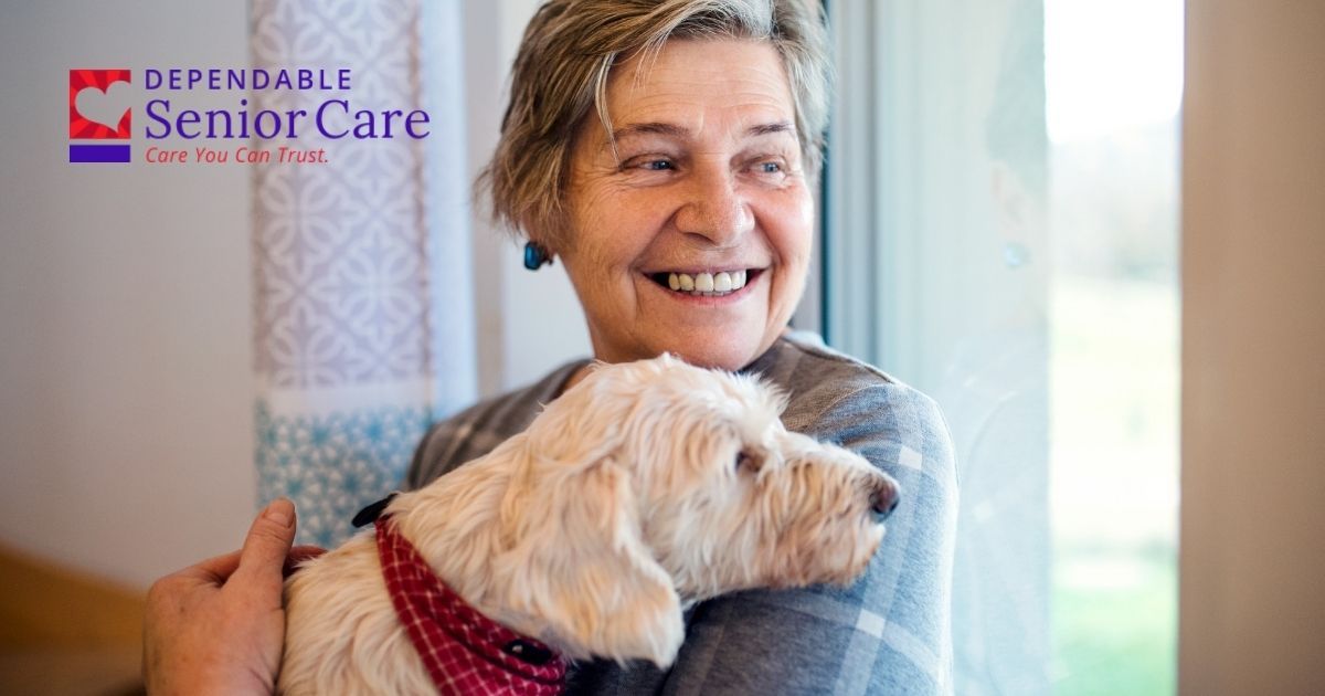 Getting a pet could provide a boost to your senior parent.